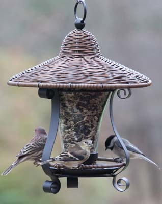 Woodlink Wicker and Glass Lantern Bird Feeder