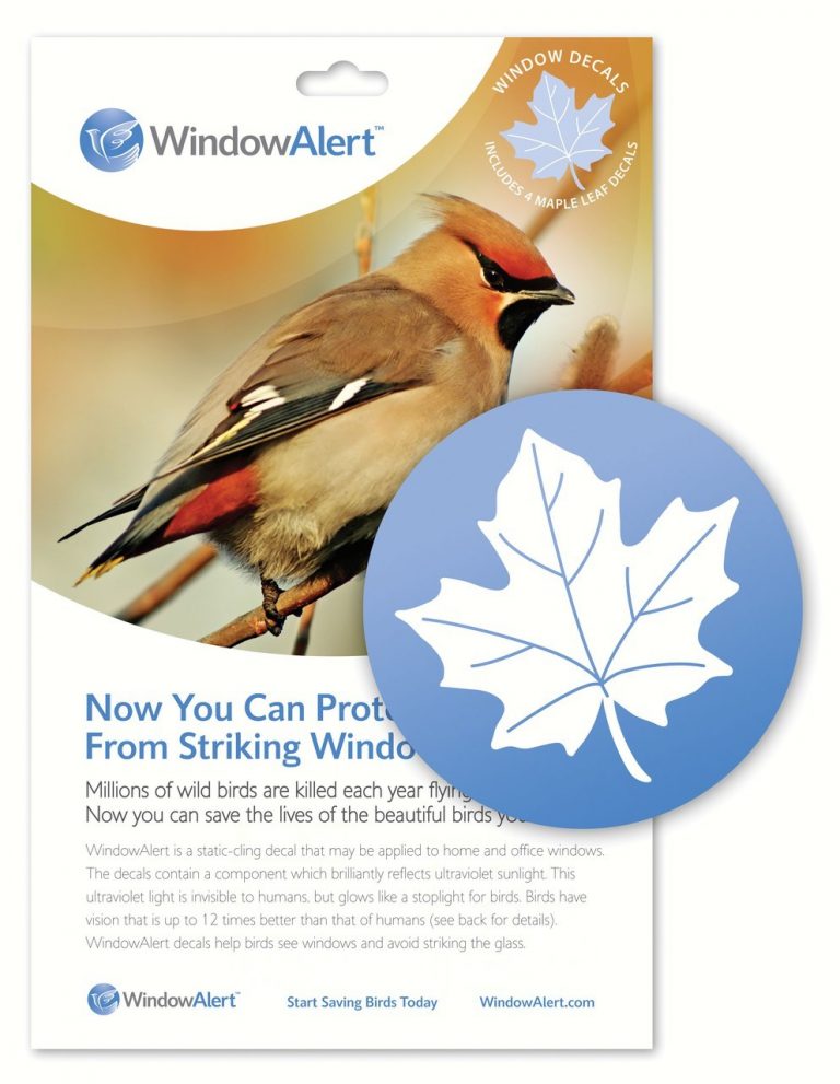 Keep birds safe with Window Alerts Window Decals Leaf
