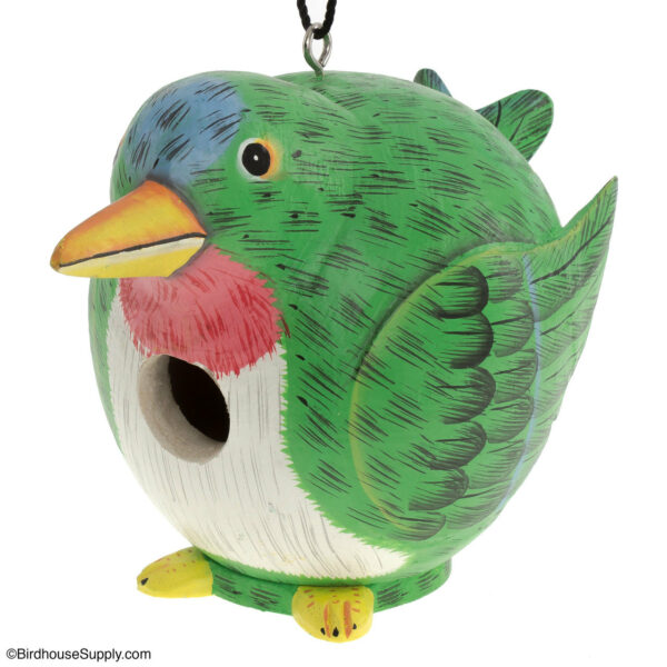 Songbird Essentials Hummingbird Gord-O Birdhouse