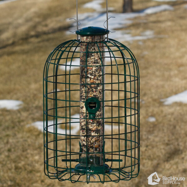 Woodlink Caged Seed Tube Bird Feeder