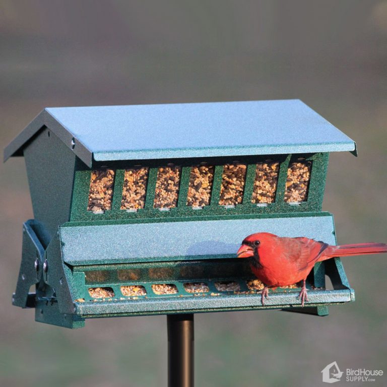 Woodlink Heritage Farms Absolute II Squirrel Resistant Bird Feeder •